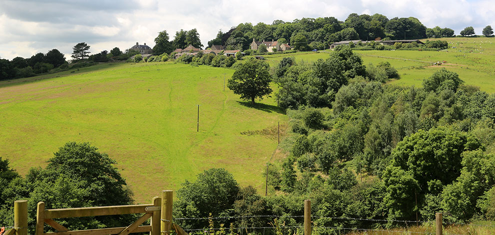 Wiltshire special plants